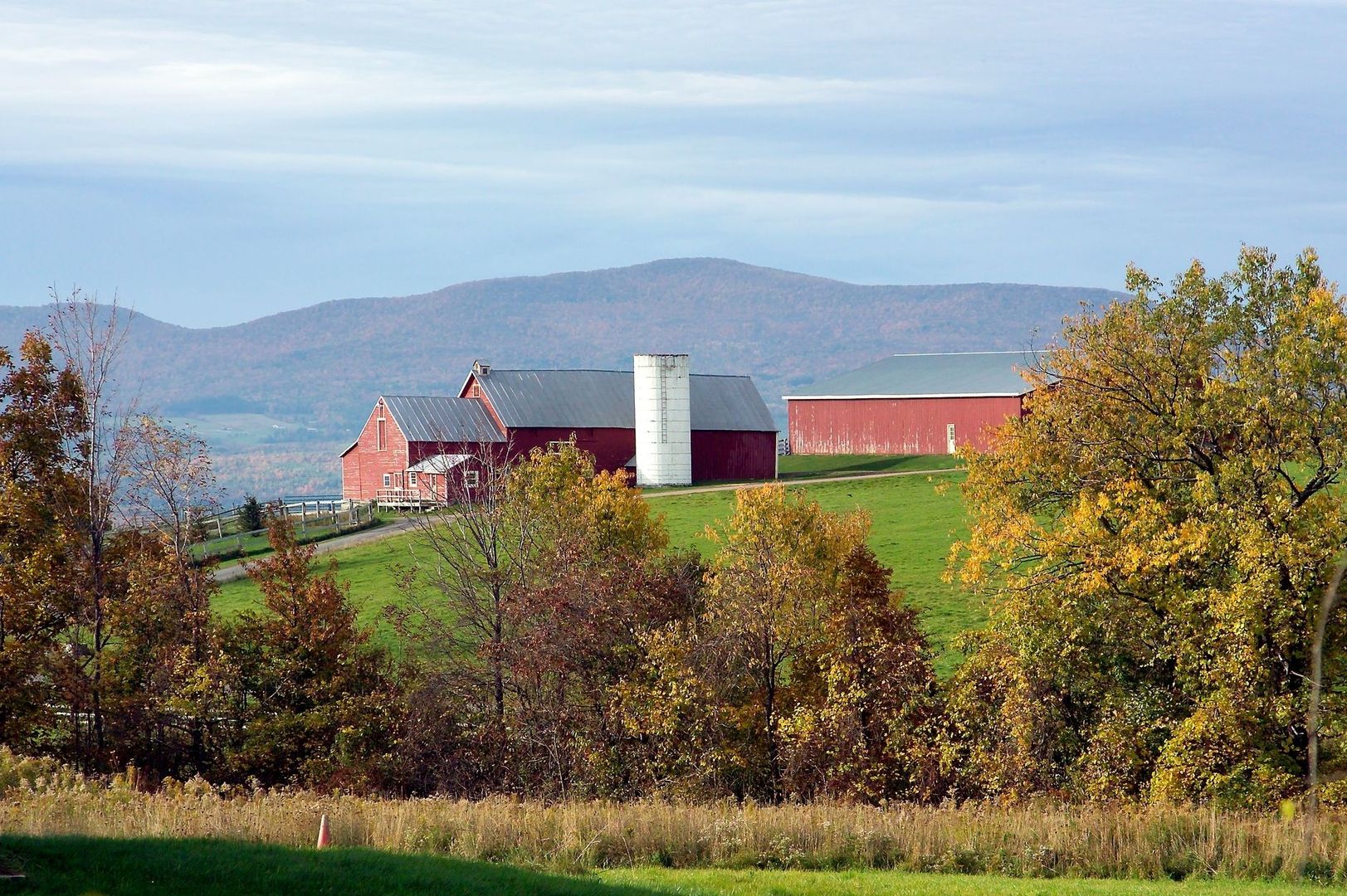 Red barns and a silo in a pastoral Finger Lakes landscape